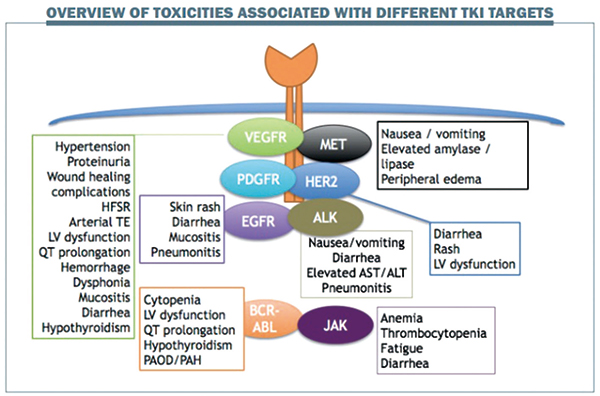 EGFR/ALK TKI治疗NSCLC 应监测甲状腺功能障碍