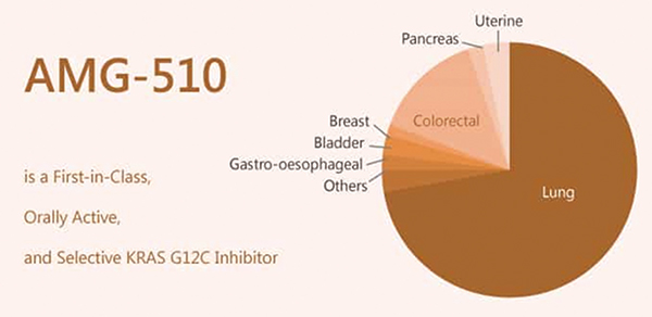 KRAS G12C突变的NSCLC Sotorasib后线治疗缓解率高达37.1%