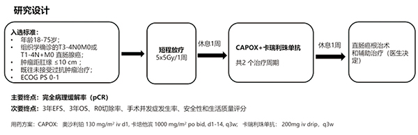 局部晚期直肠癌 新辅助短程放疗联合卡瑞利珠单抗和化疗pCR率达48%