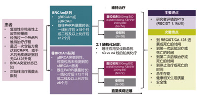 289-290期《全球肿瘤快讯》-126.jpg