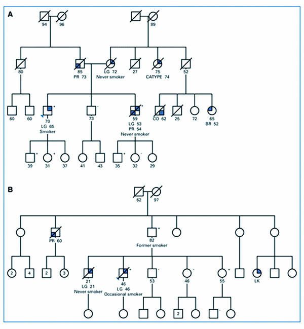 339-340期（完成）-13.jpg