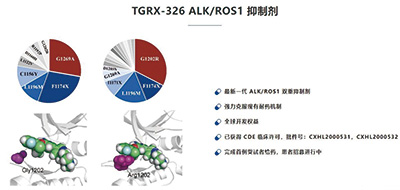 ALK阳性NSCLC deulorlatinib初显耐受性和有效性