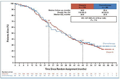 铂敏感复发性卵巢癌 奥拉帕尼治疗与非铂化疗总生存相似