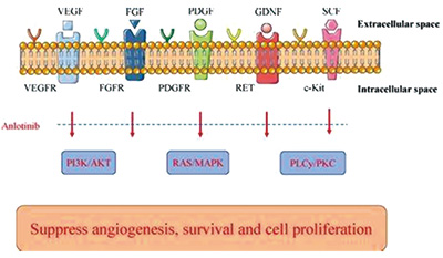 EGFR-TKI后缓慢进展的晚期NSCLC 安罗替尼联合继续应用的EGFR-TKI改善生存