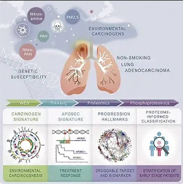 381-382期(完成)(1)-111.jpg 381-382期(完成)(1)-111.jpg