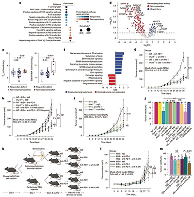 肿瘤细胞损伤神经髓鞘带来免疫抑制