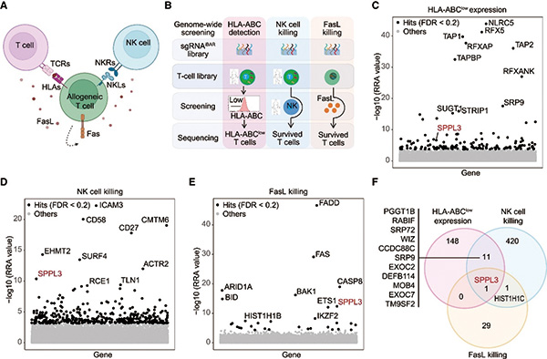 383-384期(完成)-67.jpg 383-384期(完成)-67.jpg