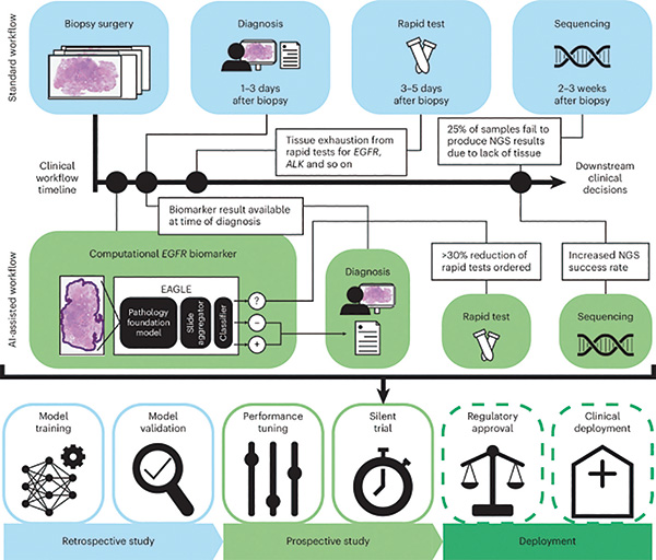 383-384期(完成)-72.jpg 383-384期(完成)-72.jpg