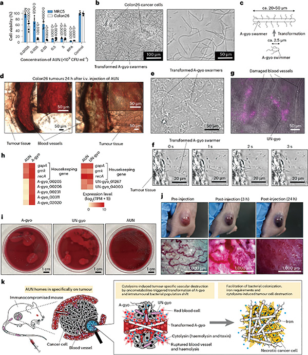 383-384期(完成)-80.jpg 383-384期(完成)-80.jpg