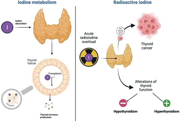 383-384期(完成)-88.jpg 383-384期(完成)-88.jpg