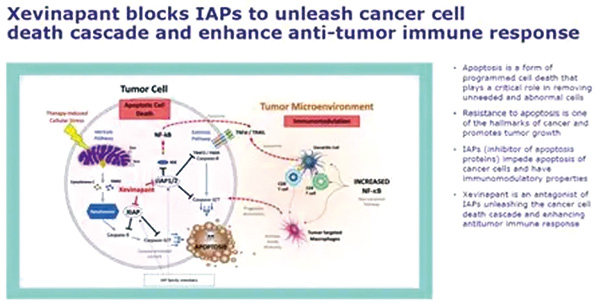 383-384期(完成)-92.jpg 383-384期(完成)-92.jpg