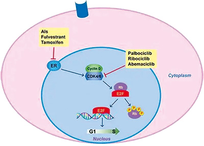 385-386期(完成)-40-.jpg 385-386期(完成)-40-.jpg
