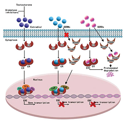 385-386期(完成)-44-.jpg 385-386期(完成)-44-.jpg