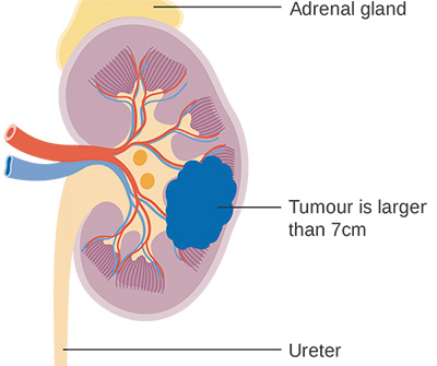 385-386期(完成)-54-.jpg 385-386期(完成)-54-.jpg