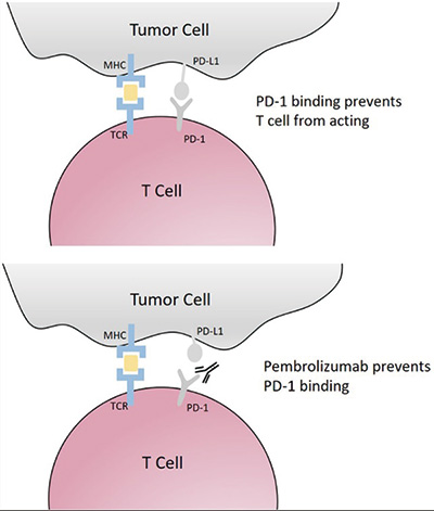 385-386期(完成)-57-.jpg 385-386期(完成)-57-.jpg