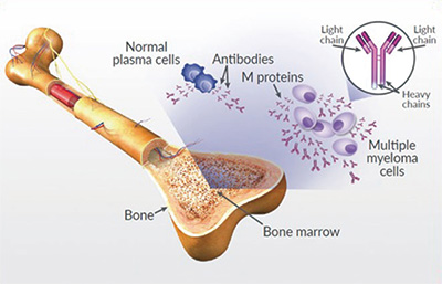 385-386期(完成)-67-.jpg 385-386期(完成)-67-.jpg