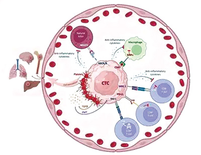 385-386期(完成)-73-.jpg 385-386期(完成)-73-.jpg