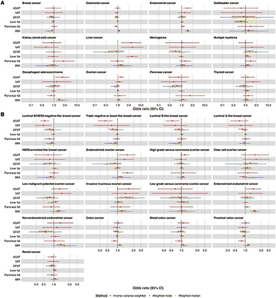 肥胖分布对肥胖相关癌症风险的影响不同