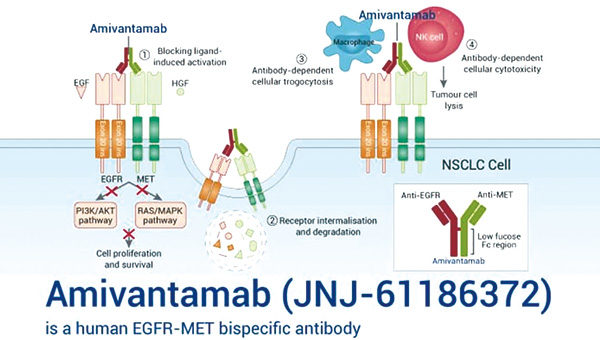 385-386期(完成)-21.jpg 385-386期(完成)-21.jpg