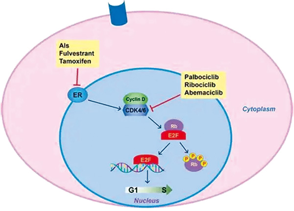 385-386期(完成)-40.jpg 385-386期(完成)-40.jpg