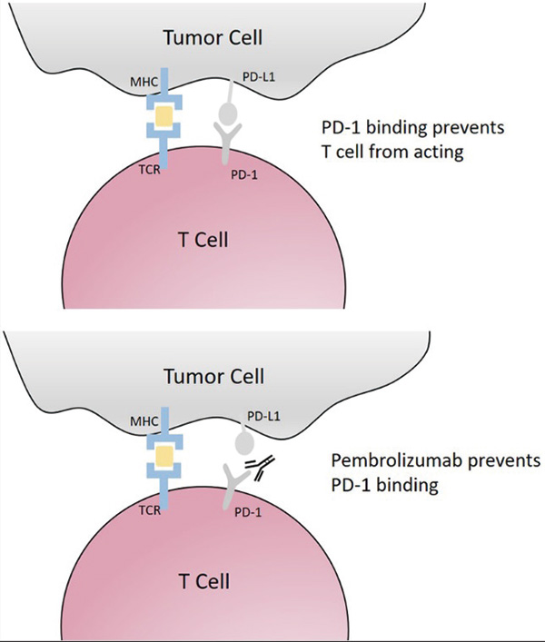 385-386期(完成)-57.jpg 385-386期(完成)-57.jpg