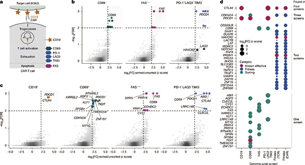 385-386期(完成)-77.jpg 385-386期(完成)-77.jpg