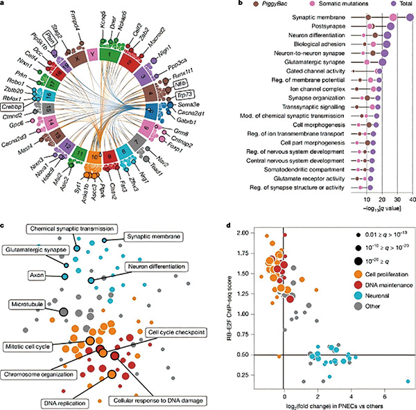 385-386期(完成)-79.jpg 385-386期(完成)-79.jpg