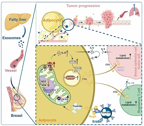 385-386期(完成)-80.jpg 385-386期(完成)-80.jpg