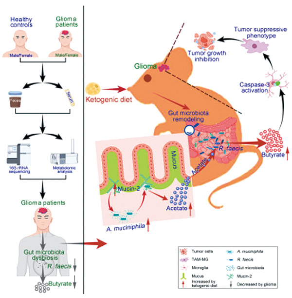 385-386期(完成)-84.jpg 385-386期(完成)-84.jpg