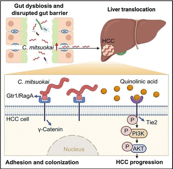 385-386期(完成)-87.jpg 385-386期(完成)-87.jpg