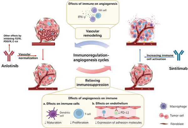 385-386期(完成)-122.jpg 385-386期(完成)-122.jpg