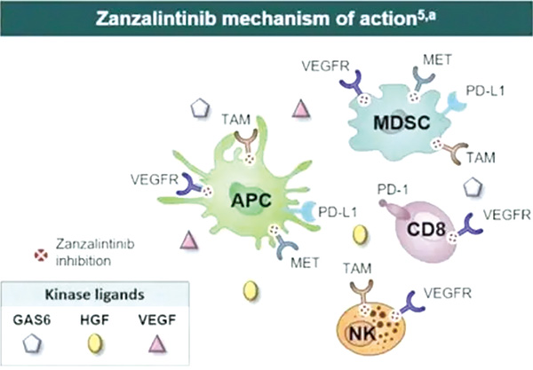 387-388期(完成)(3)-31-.jpg 387-388期(完成)(3)-31-.jpg