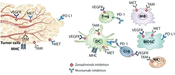387-388期(完成)(3)-32-.jpg 387-388期(完成)(3)-32-.jpg
