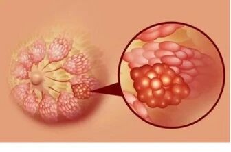 微信图片_2026-01-06_150727_767.jpg 微信图片_2026-01-06_150727_767.jpg