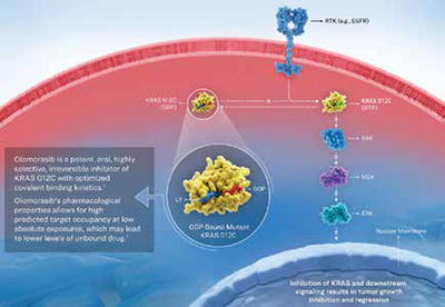 389-390期《全球肿瘤快讯》-24-.jpg 389-390期《全球肿瘤快讯》-24-.jpg