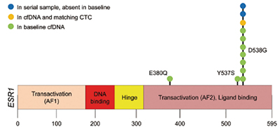 389-390期《全球肿瘤快讯》-64-.jpg 389-390期《全球肿瘤快讯》-64-.jpg