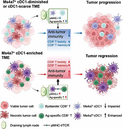389-390期《全球肿瘤快讯》-94-.jpg 389-390期《全球肿瘤快讯》-94-.jpg