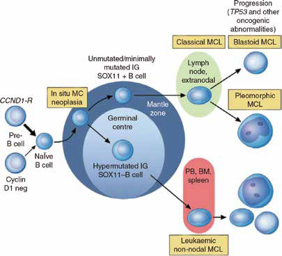 389-390期《全球肿瘤快讯》-151.jpg 389-390期《全球肿瘤快讯》-151.jpg
