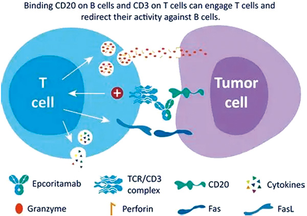 391-392期(完成)-60-.jpg 391-392期(完成)-60-.jpg