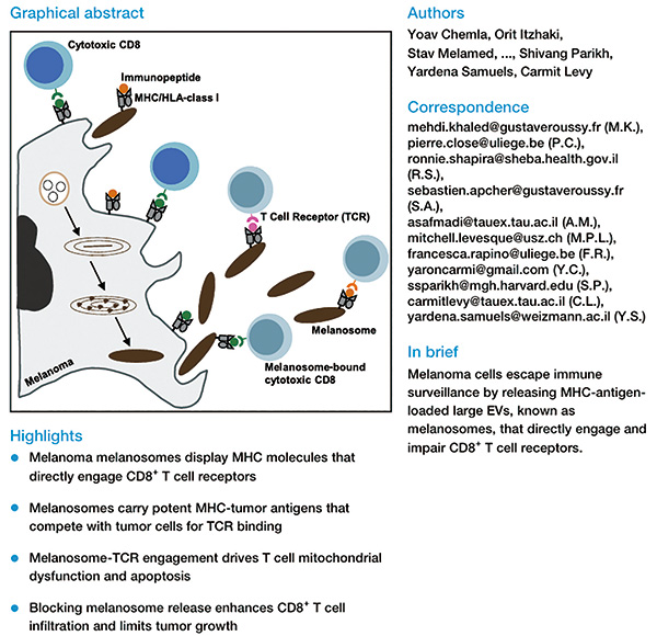 391-392期(完成)-80-.jpg 391-392期(完成)-80-.jpg