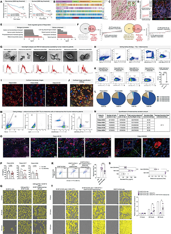 391-392期(完成)-81-.jpg 391-392期(完成)-81-.jpg