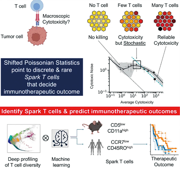393-394期(完成)(2)-83.jpg 393-394期(完成)(2)-83.jpg