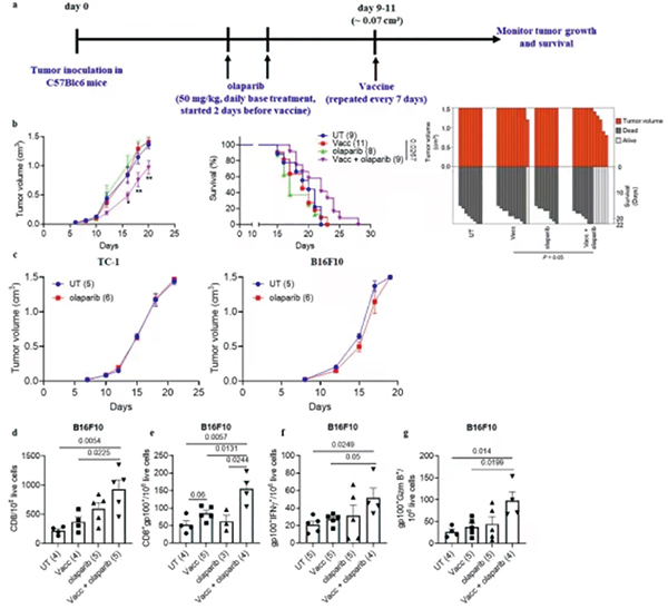393-394期(完成)(2)-96.jpg 393-394期(完成)(2)-96.jpg