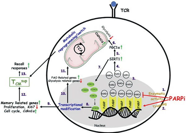 393-394期(完成)(2)-95.jpg 393-394期(完成)(2)-95.jpg