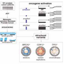 Cell：侵袭性前列腺癌全基因组测序研究