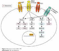 Entrectinib可治疗NTRK+肿瘤和ROS1+肺癌