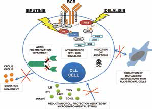 复发性CLL Idelalisib对比单用利妥昔单抗更佳