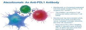 Atezolizumab联合贝伐珠单抗在RCC中的应用