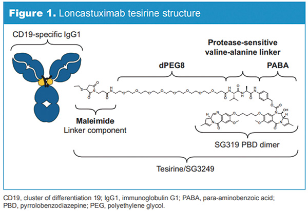 复发或难治性DLBCL Loncastuximab tesirine治疗有持久缓解