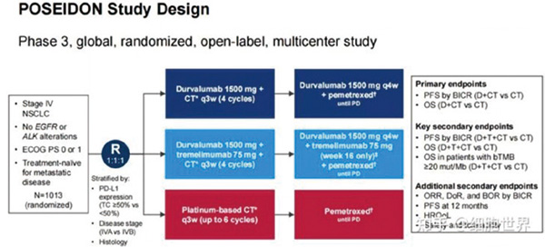 POSEIDON研究 D+T+化疗有望成为NSCLC一线治疗新选择
